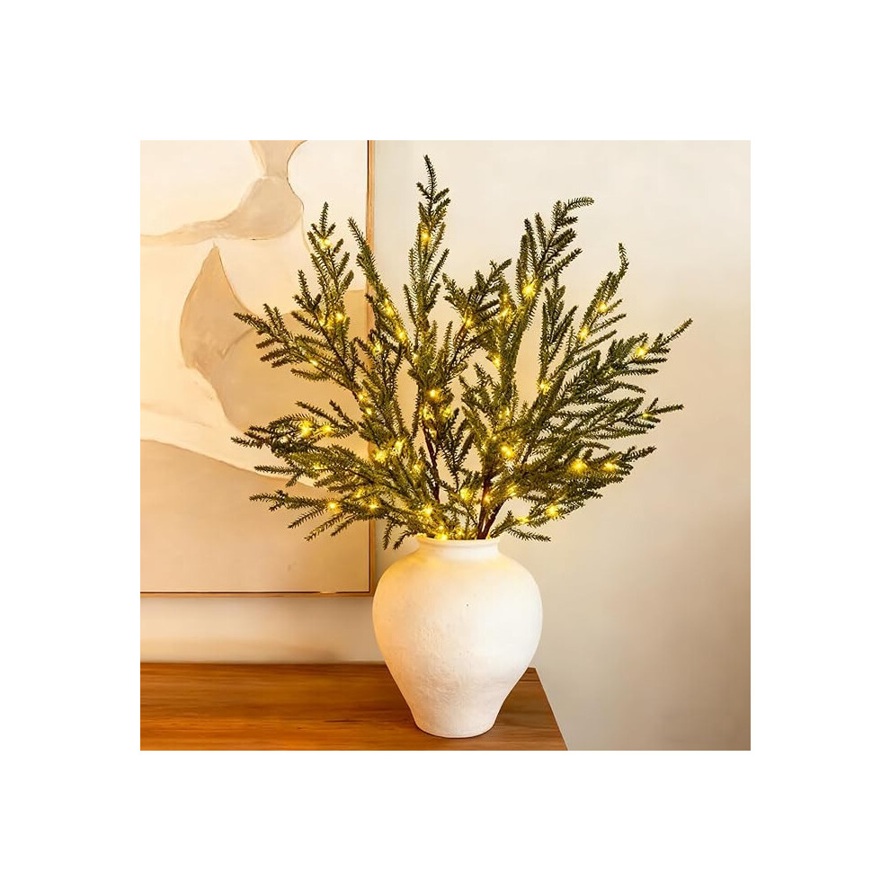 (Green) Lit Stems Lighted Norfolk Branches Lit Norfolk Pines Stems