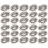 2 Dozen Vloeipicks Wegwerp Professioneel 10