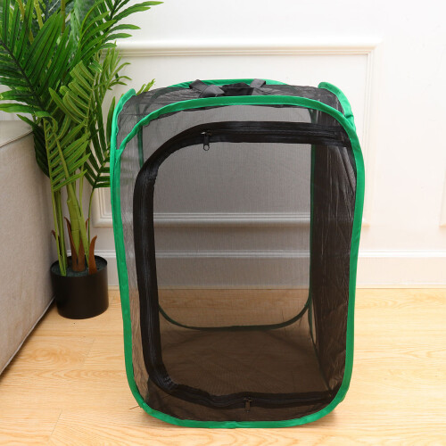 Large Inklapbare Vlinderhuis Pop-Up Terrarium 2