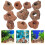 10Stuks Steen Schuilplaats Aquarium Leefomgeving 9