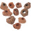10Stuks Steen Schuilplaats Aquarium Leefomgeving 6
