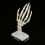 Medizinisches Anatomie-Modell: Menschliche Hand 5