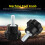 10pcs M5*16 Plastic Star Knob Bolt Tool Accessories Black 2