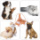 Wiederverwendbare Hundedessous -Physiohose 1 9