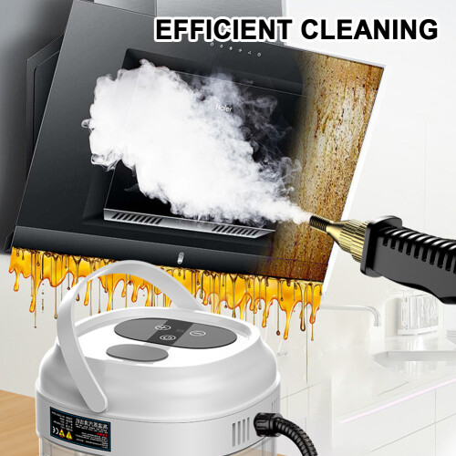 Portable Steam Cleaner Kitchen Range Hood Car Quick Heating High Temp 2