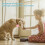 Pet Tracker for Cats Wireless Remote Finder Phone App Lightweight Bluetooth Tracker for Keys Wallets Tablets Light Pink 4