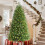 Pre-Lit Christmas Tree with 250 LED Lights 7