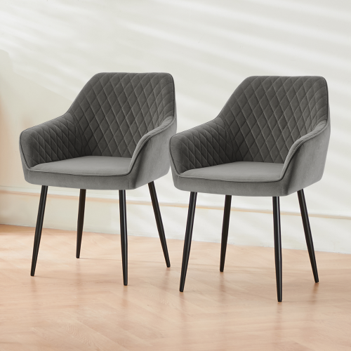 AINPECCA (Grey(Velvet), 2 Dining Chairs) 2 Dining Chairs