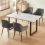AINPECCA (Grey(Velvet), 2 Dining Chairs) 2 Dining Chairs 9