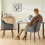 AINPECCA (Grey(Velvet), 2 Dining Chairs) 2 Dining Chairs 8
