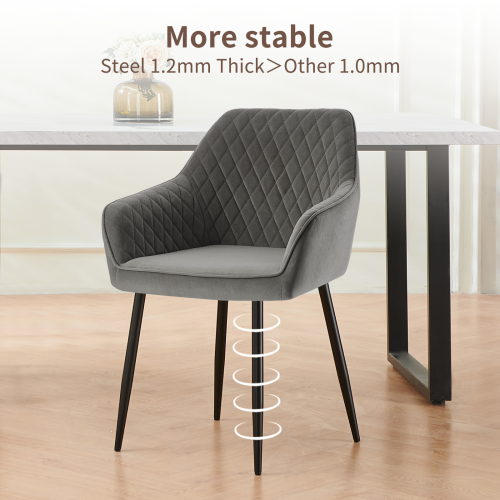 AINPECCA (Grey(Velvet), 2 Dining Chairs) 2 Dining Chairs 1