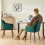 AINPECCA (Green(Velvet), 2 Dining Chairs) 2 Chairs Padded 7