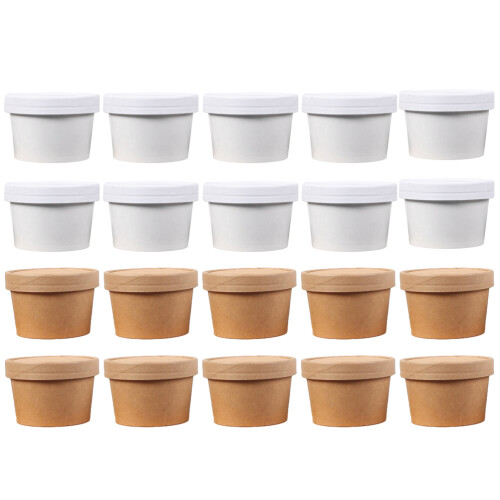 20 Stuks IJsschaaltjes Vriesbare Dessertcontainers