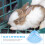 Rabbit Triangle Töpfchen-Trainer Toiletten-Box Aus Kunststoff 11