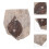 Coleção De Folhas Fossilizadas Para Científico 5