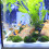 Aquarium Futterrohr Shrimpfutterschale Fischfutterer 11