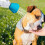 2Stk. Hundeduschköpfe Für Unterwegs 7