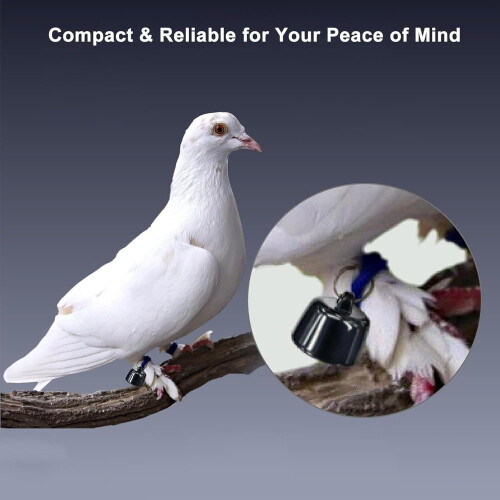Mini GPS Tracker for Cats & Dogs Global Tracking No Extra Fee iOS Android Compatible For Any Collar (3) 2