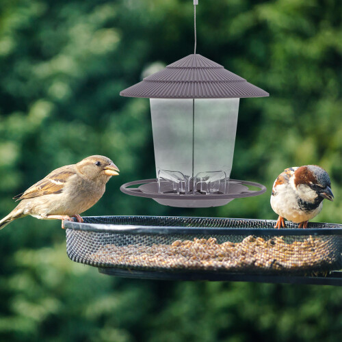 Outdoor Garten Kunststoff Papageienfutterstelle Mit Dach 2