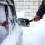 2Stk Winter Schneeschippe Für Auto, Frost- Und Eisschaber 8