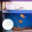 6 Transparente Halter Für Randlose Aquarien 5