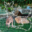 Wood Pile Acryl Schild Anhänger Doppelseitig 4