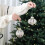 9pcs Shatterproof Christmas Bauble Ball-Transparent white 6