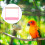 Multifunctionele Vogelstandaard Roze Hout ABS Training Perkiet 4