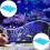 2Stk. Aquariumfilter Filterwatte Schwammfilterelement 8