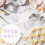 8Stk. Cookie Ausstechformen, Für , Backformen (Weiß) 7