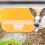 1Pc Detachable Grid Yellow Pet Bed Pan Rabbit Cage Accessory Plastic 7