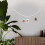 60Pinces En Bois Pour Clips Photo Memo 9