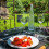 French Alps Spring Water Glass Bottle 740 ml 7
