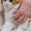 1Ensemble Toilette Animaux Respirable Accessoires Ongles 4