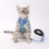 Kitten Collar Pet Chest Strap Cat Collar Cat Leash Harness Set 10