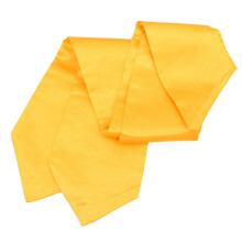 2Stk Abschluss Schulterband Baccalaureate Umhang Quaste Unisex