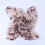Beige Voile Sjaal Dames Lange Halsdoek 5