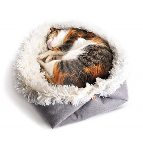 Petkussen Slaapmat Kat Kitten Winter Wit 1