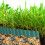 1 Tuinrand Afsluiting Plastic Gras Creatieve Landschapsafsluiting 6