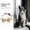 1 Collar Para Con Y 11