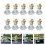 10St Auto Parfum Hangers Glazen Decoratie Diverse 2