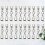 20 Stks Roestvrijstalen Lederen Versluiting 2,2 Mm 7