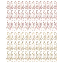 100 Hartvormige Paperclip Decoratieve Bladwijzers Planner Clips