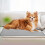 2 Wasbare Puppy Pads Waterdichte Absorberende Hondenplaspads 10