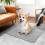 2 Wasbare Puppy Pads Waterdichte Absorberende Hondenplaspads 5