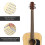 2 Pezzi Adesivi Chitarra Note Tastiera Per Principianti 11