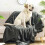 1Universele Dierendeken Grijs Soft Flanel 8