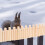 2 Pièces En Pour Hamster Souris Gerbille Chinchilla 2