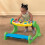 Little Tikes Kid's Learning Musical 5-in-1 Adjustable Gym Toy 4