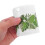 1 Rollo Pegatina Para Borde Panel Anuncios, Árbol 4